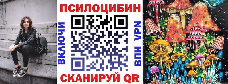 Галлюциногенные грибы Cubensis где найти Родники