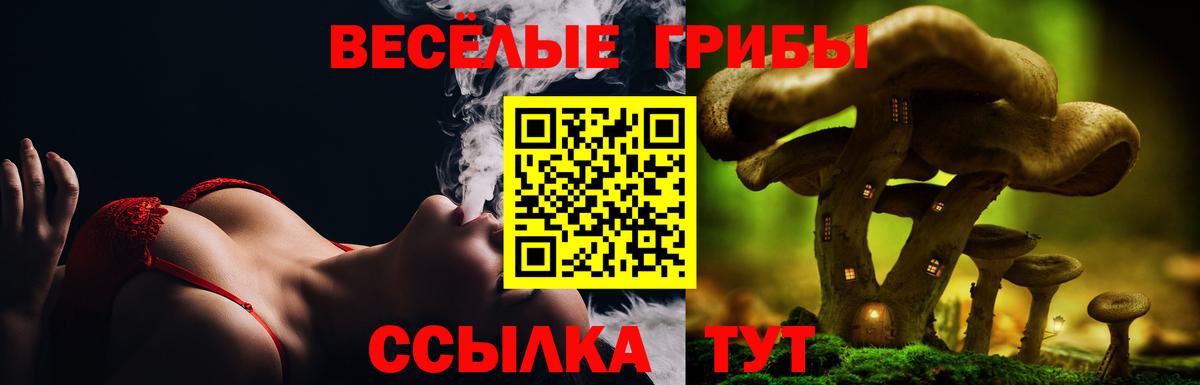 Галлюциногенные грибы MAGIC MUSHROOMS  Вход с VPN  Родники 